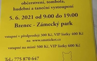 Bude rok Zajíce 2011 rokem zklidnění?