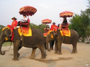 vyjizdka na slonu - O cestě za Feng-Šuej do Asie